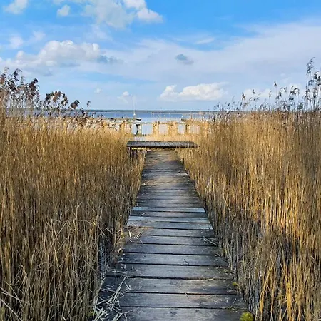 Tammy * Göhren-Lebbin