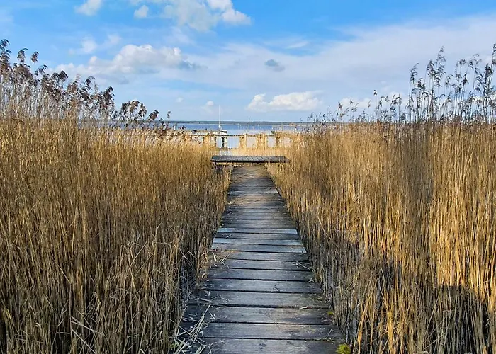 Tammy * Göhren-Lebbin